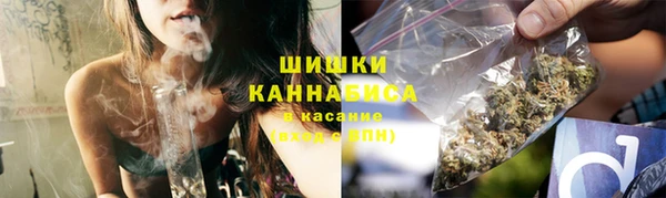 прущие грибы Аркадак