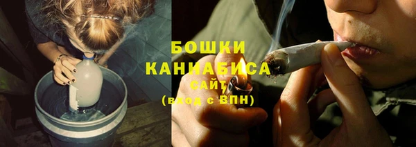 прущие грибы Аркадак