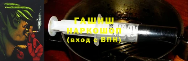 прущие грибы Аркадак