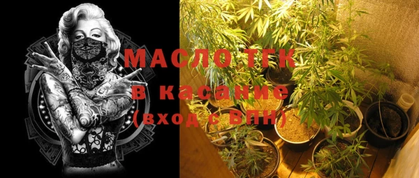 прущие грибы Аркадак