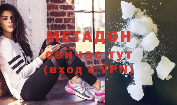 прущие грибы Аркадак