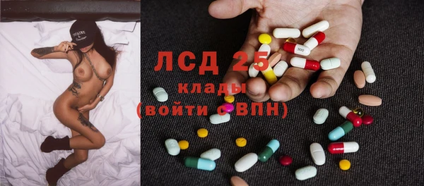 прущие грибы Аркадак