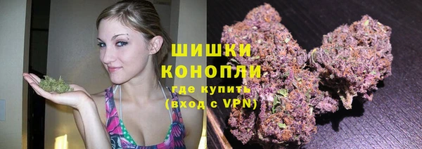 прущие грибы Аркадак