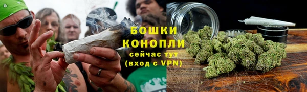 прущие грибы Аркадак