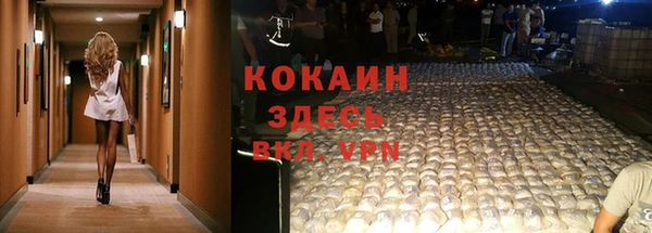 прущие грибы Аркадак
