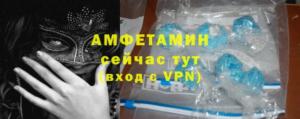 прущие грибы Аркадак